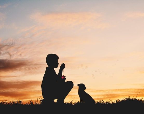 [freepicdownloader.com]-silhouette-friends-sitting-against-sky-sunset-medium